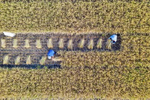 Lollobrigida: “Mai così tante risorse per l’agricoltura”, focus su Pac e investimenti