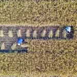 Lollobrigida: “Mai così tante risorse per l’agricoltura”, focus su Pac e investimenti