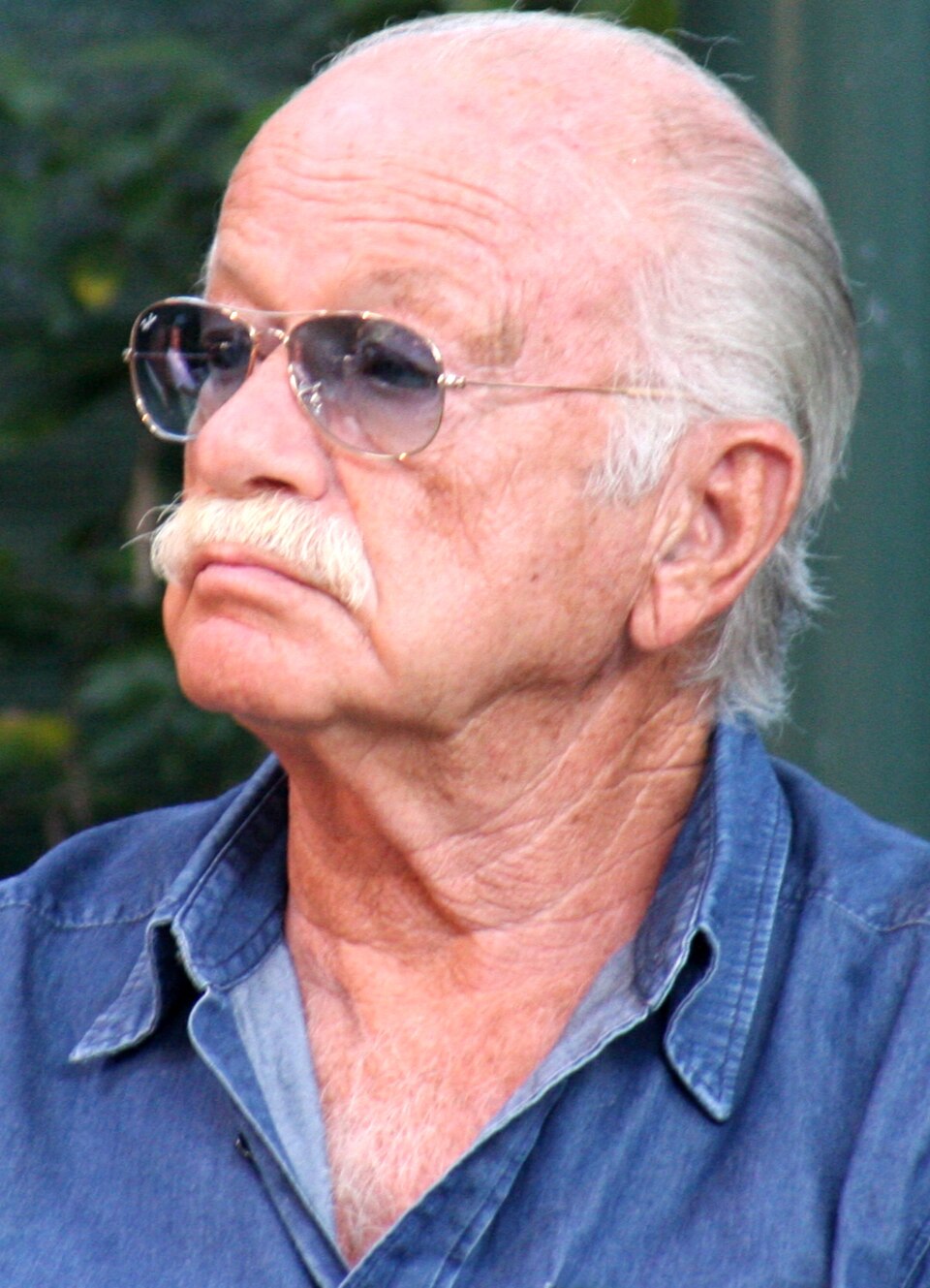 Rolli Days a Genova: musica, arte e omaggio a Gino Paoli nel cuore della città