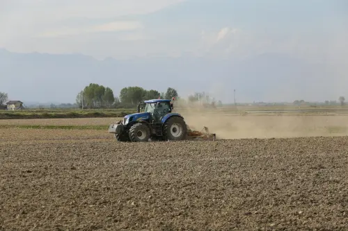 Maltempo, fondi per le aziende agricole di Albenga e Ceriale