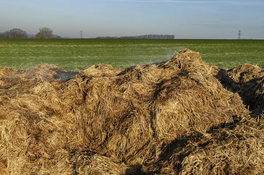 Quali concimi naturali usare nell’orto: guida pratica per nutrire il terreno senza chimica