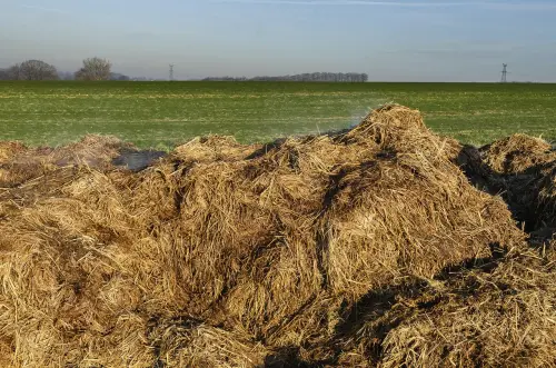 Quali concimi naturali usare nell’orto: guida pratica per nutrire il terreno senza chimica