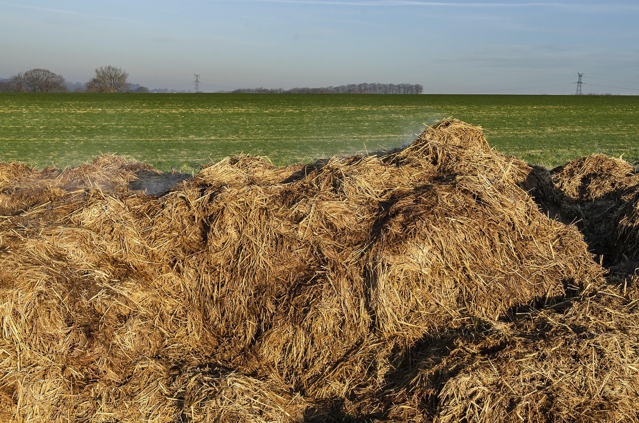 Quali concimi naturali usare nell’orto: guida pratica per nutrire il terreno senza chimica
